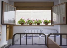 Albergue Albas EXCLUSIVO para Peregrinos 4