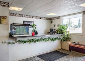 Econo Lodge Bellefonte I-99 4