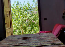Agrifoglio B&B con giardino 5