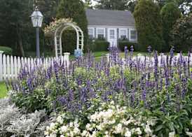 Wequassett Resort and Golf Club 2