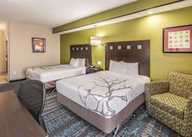 La Quinta by Wyndham Dallas Grand Prairie South 3