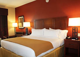 Holiday Inn Express & Suites PADUCAH WEST by IHG 2
