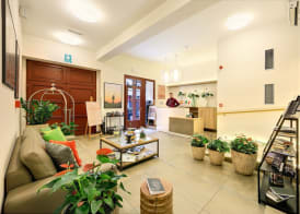 Salvator Boutique Hotel vegan-friendly 4