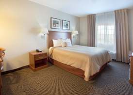 Candlewood Suites TEMPLE - MEDICAL CENTER AREA by IHG 2