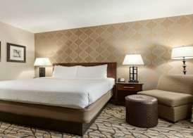 Holiday Inn & Suites WILLIAMSBURG-HISTORIC GATEWAY by IHG 4