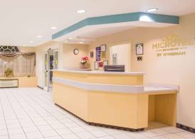 Microtel Inn & Suites by Wyndham Albertville 3