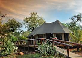 Karongwe - Chisomo Safari Camp 2