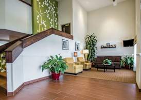 Sleep Inn & Suites Niantic North 4