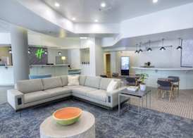 Holiday Inn GAINESVILLE-UNIVERSITY CTR by IHG 4
