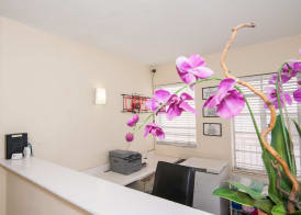 Island House South Beach 2
