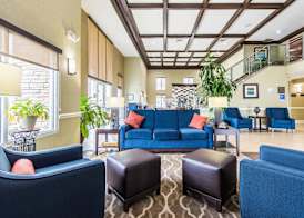 Comfort Inn & Suites Greenwood near University 3