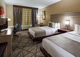 Comfort Inn & Suites Houston I-45 North - IAH 3