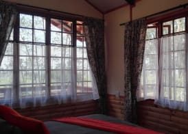 Woodland Gardens Self catering Pet Friendly Lodge 3