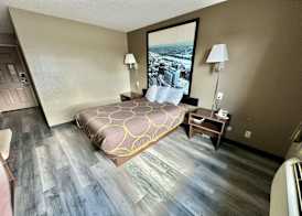 Super 8 by Wyndham Latham - Albany Airport 5