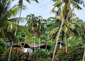 Barcelo Coconut Island, Phuket 4