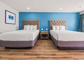 Econo Lodge Inn & Suites Sealy 3