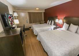 Red Roof Inn PLUS+ Washington DC Rockville 3