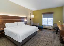 Holiday Inn Express & Suites TALLADEGA by IHG 2
