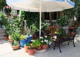 Pigi Pension 5