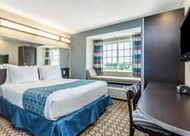 Microtel Inn & Suites by Wyndham Spring Hill/Weeki Wachee 5