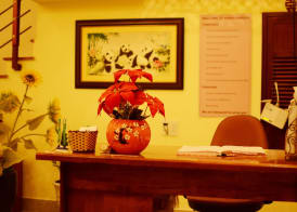 Panda Garden Homestay 3