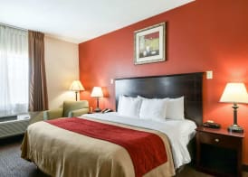 Quality Inn Kingsville Hwy 77 4