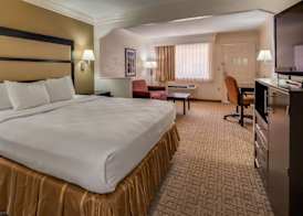 Best Western Inn & Suites of Macon 5