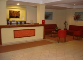 Perros Hotel 4