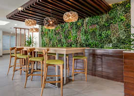 Condado Palm Inn San Juan, Tapestry Collection by Hilton 4