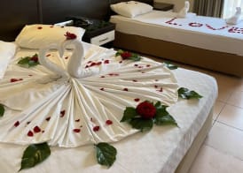 CASTLE PARK HOTEL 4