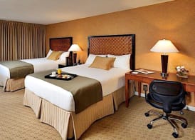 THE SKYLINE HOTEL NEW YORK 5