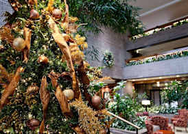 Radisson Hotel Corning 2