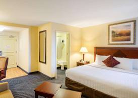 Mainstay Suites Dover 5
