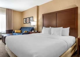 Comfort Inn Meadowlands 4