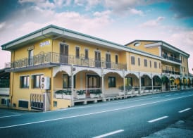 Palmed Hotel 4