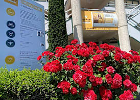 Premiere Classe La Rochelle Sud - Angoulins 4