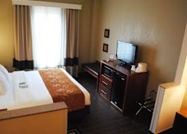 Comfort Suites Grand Rapids South 4