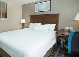 TownePlace Suites Pocatello 5