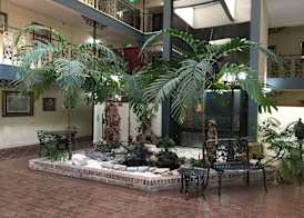 Royal Suites Baton Rouge near LSU and Airport 2