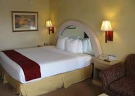 Super 8 by Wyndham Sumter 5