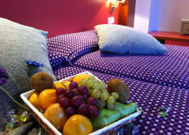 Hotel Jardín de Aranjuez 5