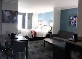 Best Western Medical Center North Inn & Suites Near Six Flags 4