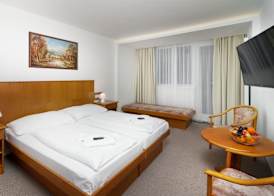 Wellness Hotel Astra 3