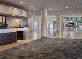 Tampa Airport Marriott 2
