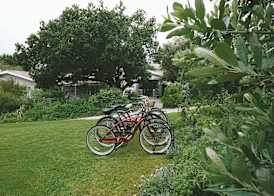 Lovemore Lodges Knysna 3