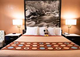 Super 8 by Wyndham Anaheim/Disneyland Drive 5