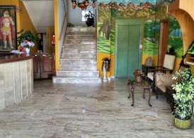 Hotel Águila Real 5