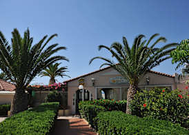 Cretan Garden 4
