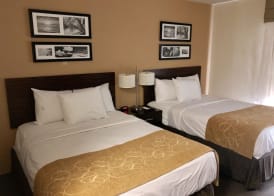 The Vue Inn Brooklyn 4