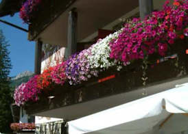 Residence Salvan 3